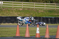 anglesey;brands-hatch;cadwell-park;croft;donington-park;enduro-digital-images;event-digital-images;eventdigitalimages;mallory;no-limits;oulton-park;peter-wileman-photography;racing-digital-images;silverstone;snetterton;trackday-digital-images;trackday-photos;vmcc-banbury-run;welsh-2-day-enduro